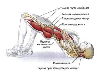 упражнения на ягодичные мышцы